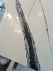Piani di lavoro di marmo Panda White Color dei controsoffitti della cucina del quarzo 3200*1600mm